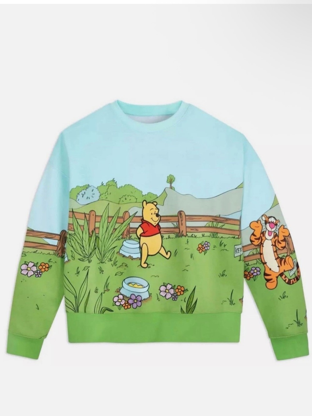 Disney Sweartshirt Winnie the Pooh & Friends Blue Green Embroidered OS